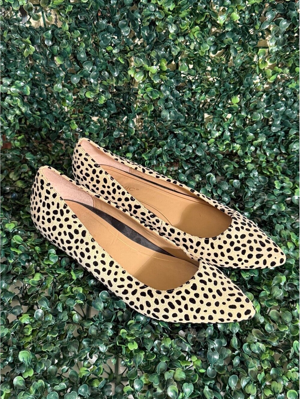 Vionic Lena Pointed-Toe Flats Quartz Spot Cheetah Print size 7.5